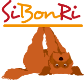 Sibonri